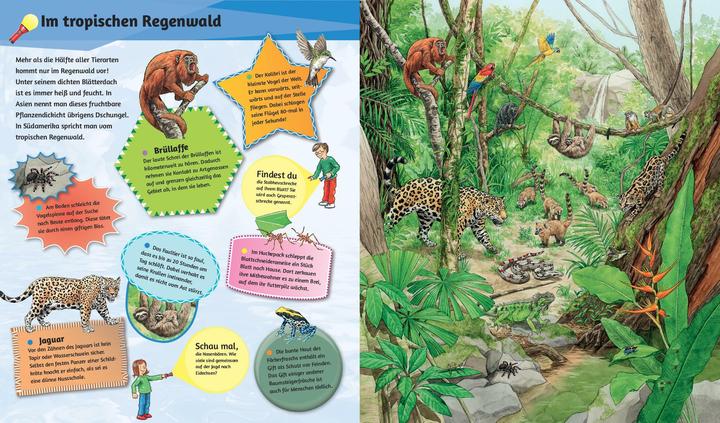Produktbild Mein Taschenlampenbuch Wilde Tiere (Deutsch, 2024)
