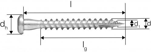 Productafbeelding Simpson Sst Schroeven (200 Pcs.)