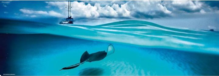 Immagine prodotto Heye Panorama di Stingray Humboldt (1000 pezzi)