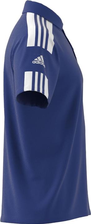 Actual product image adidas SQUADRA 21 POLO (L)