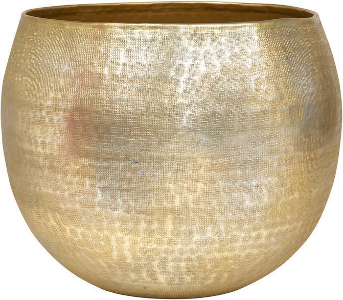 pfister Net