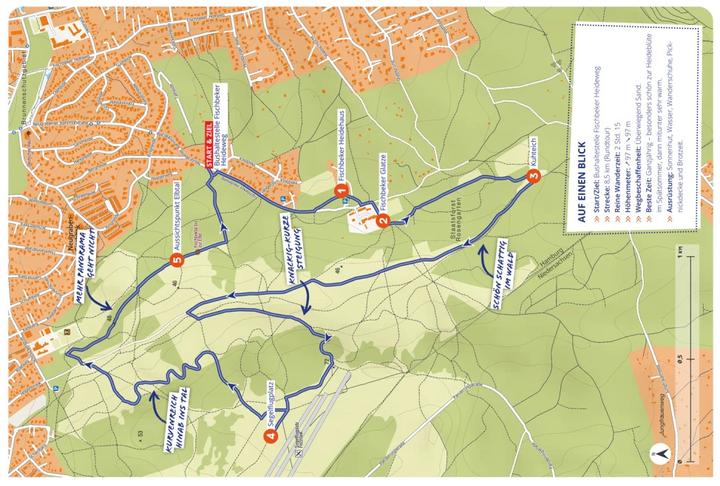 Produktbild Wanderzeit Wanderzeit in Rheingau & Taunus (Deutsch, Sandra Kathe, 2023)