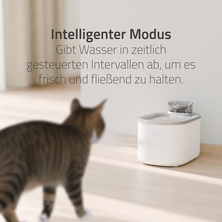 Actual product image Hombli Water Fountain (350 cl)