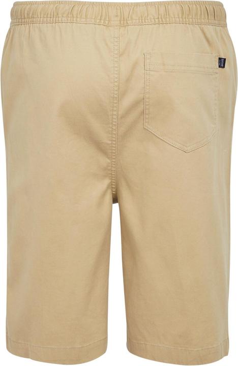 Actual product image Regatta Mens Aldan Chino Shorts (32)