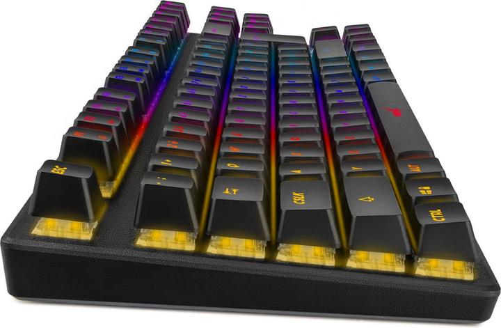 Produktbild Niceboy ORYX K300X (DE)