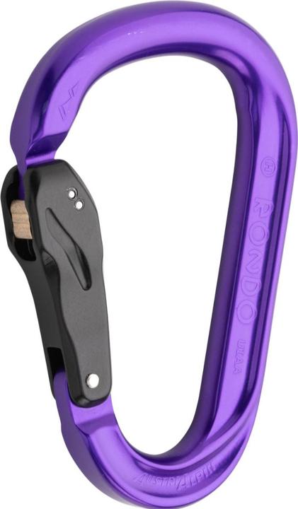 Actual product image AustriAlpin HMS Rondo Slide Autolock