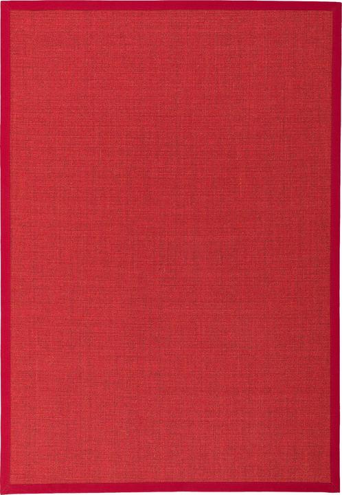 Produktbild Pergamon Sisalteppich Natura Klassisch mit Bordüre (150 x 150 cm)