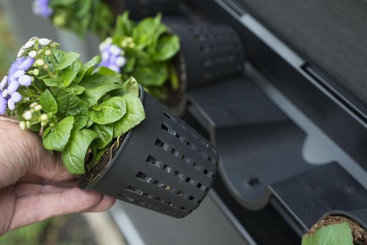 Produktbild Nature Blumenwand