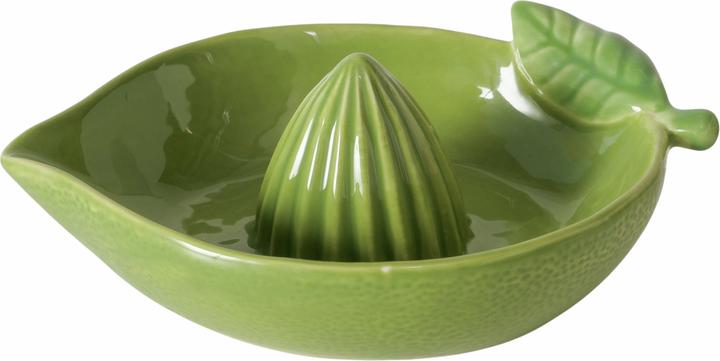 Image du produit Boltze Home Lime