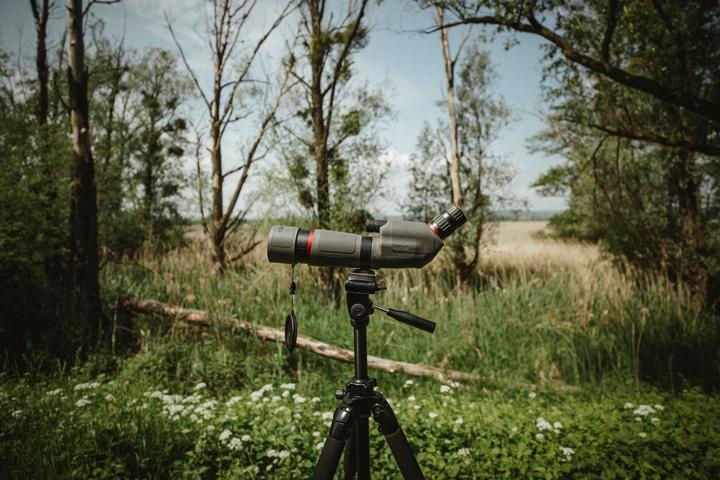 Immagine prodotto Bushnell Nitro (20x, 65 mm)