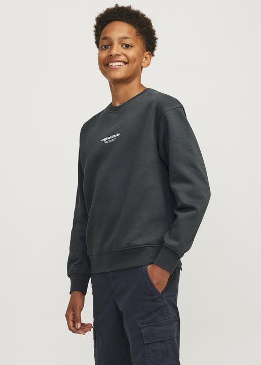 Produktbild Jack & Jones Jorvesterbro Sweat Crew Neck Bn Mni (104)