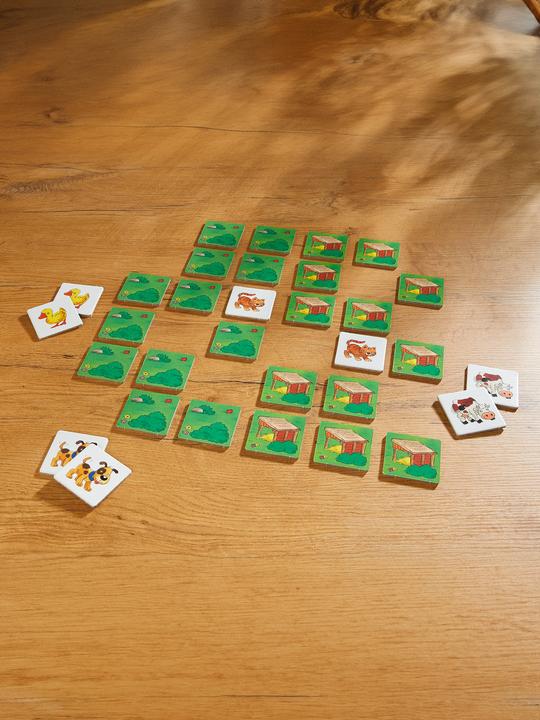 Actual product image Haba My first game treasure (German)