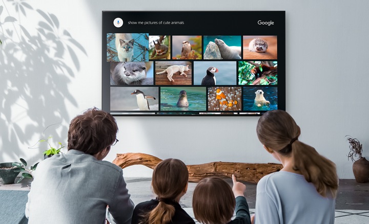 Actual product image Sony Kd-43xf8505 (43", LCD, 4K, 2018)