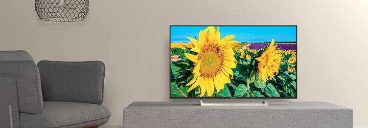 Image du produit Sony Kd-49xf8096 (49", LCD, 4K, 2018)