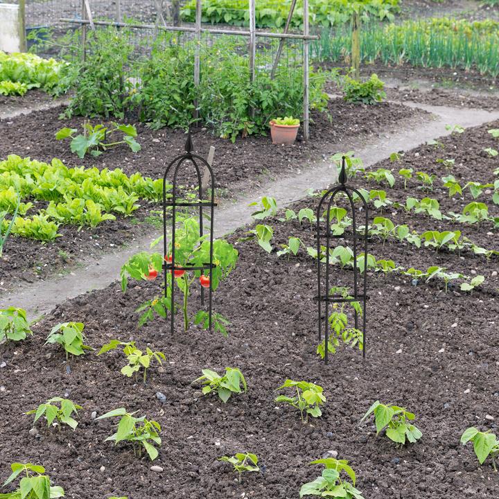 Actual product image Relaxdays 2x climbing aid (20 cm, 20 cm)