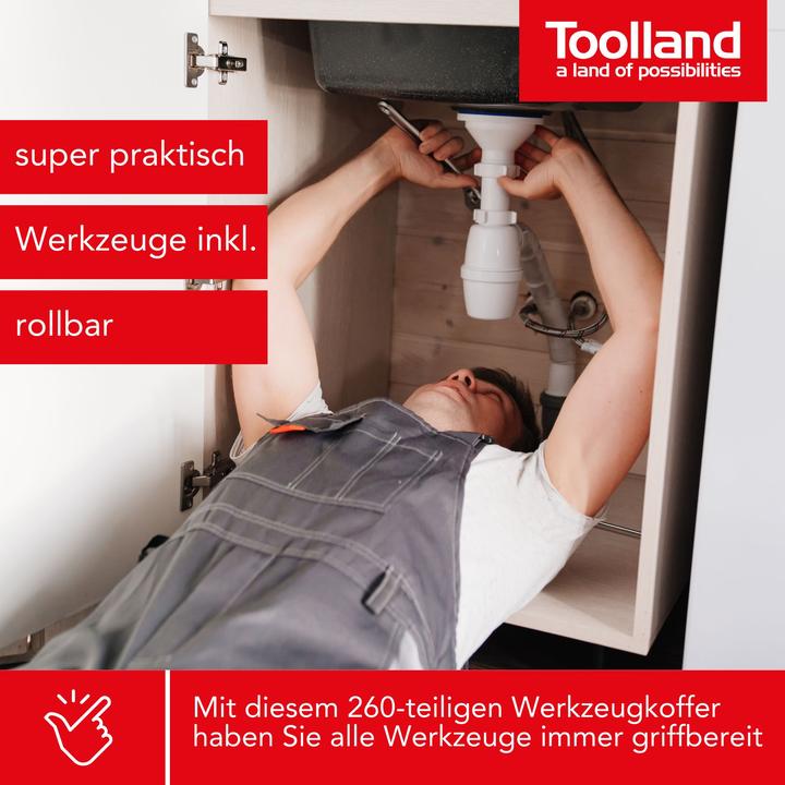 Actual product image Toolland Tool case 260 pieces (260 pieces)