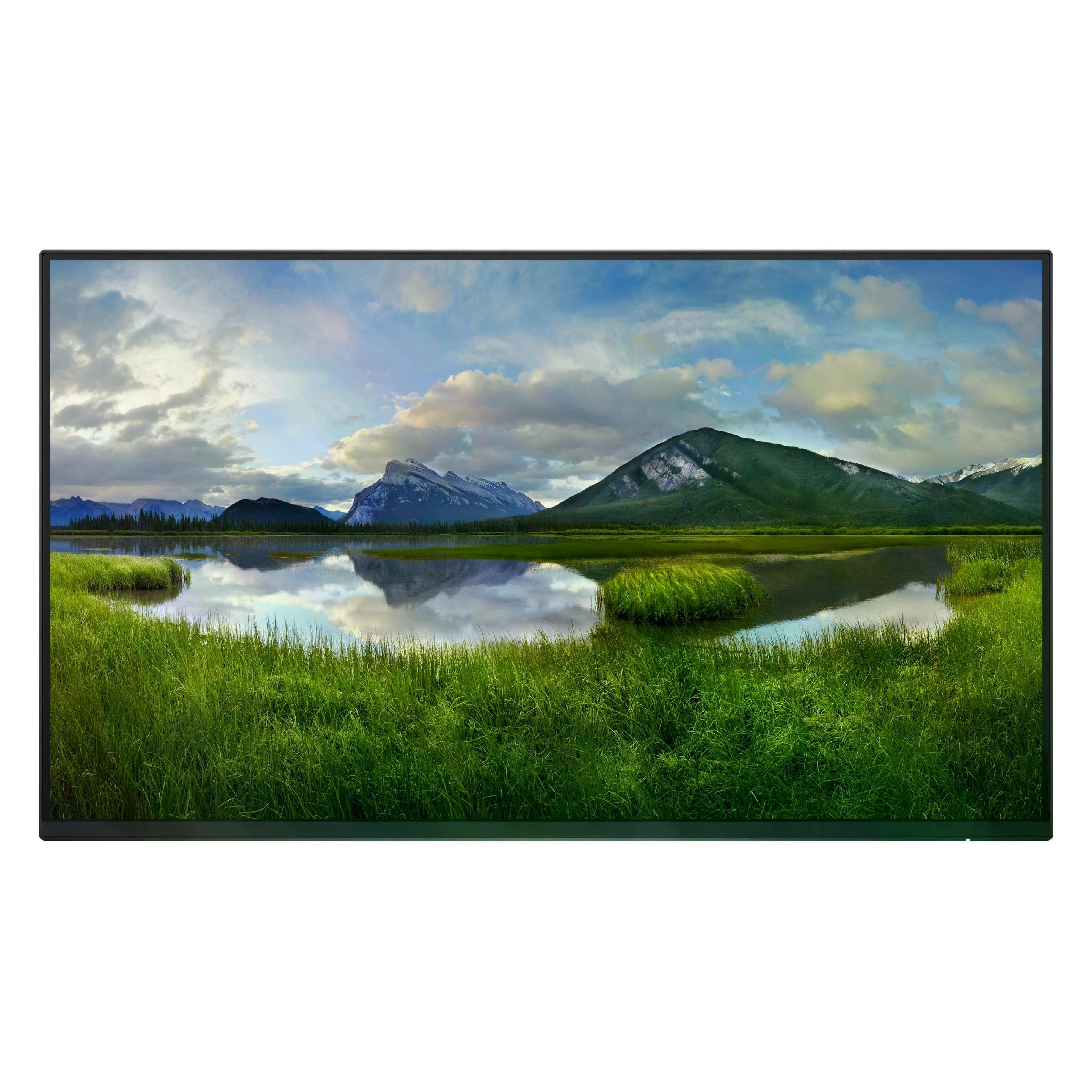 Dell P2425HWO (1920 x 1080 Pixel, 24"), Monitor