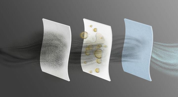 Actual product image Electrolux Dust bag (4x)