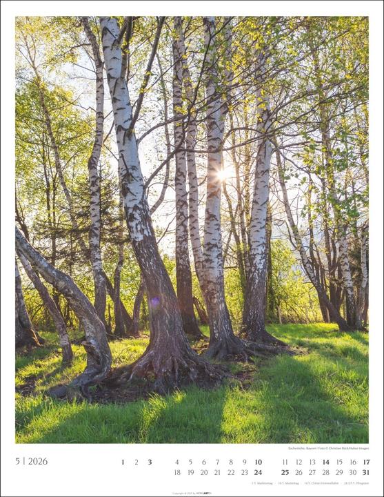 Produktbild Heimische Wälder Kalender 2026 (34 x 44 cm, Harter Einband, Deutsch)