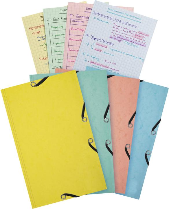 Image du produit Exacompta Porte-documents avec élastique (25x)