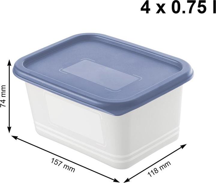 Actual product image Rotho Domino (0.75 l)