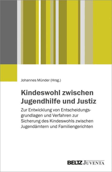 Produktbild Kindeswohl zwischen Jugendhilfe und Justiz (Deutsch, Johannes Münder, 2017)