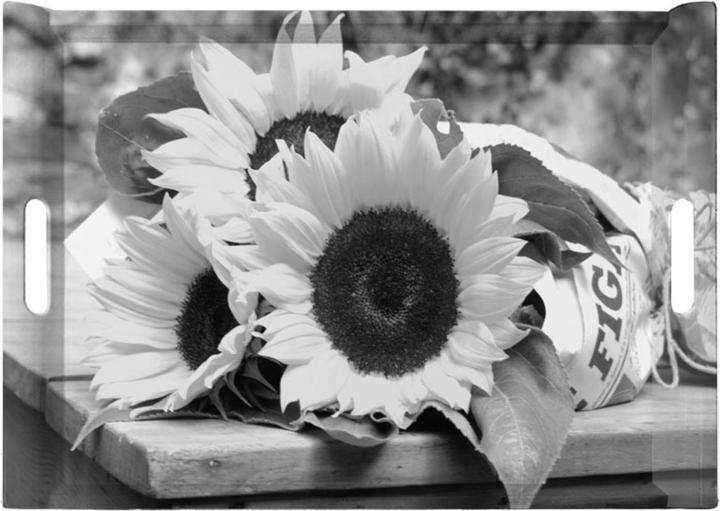 Produktbild Easy Life Retro Tournesol Tablett mit Griffen