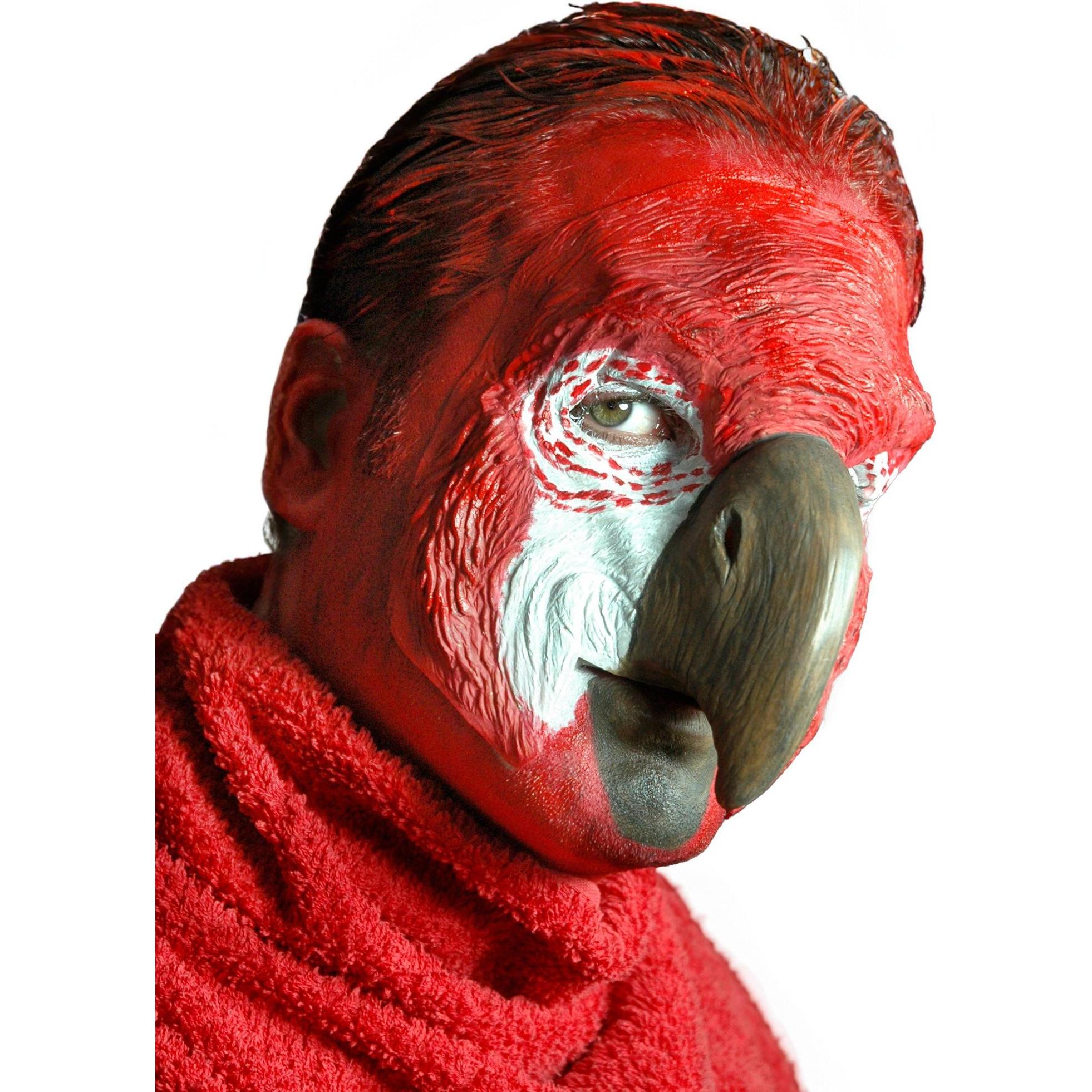 Thumbnail - Wizardo Papageienmaske zum Ankleben