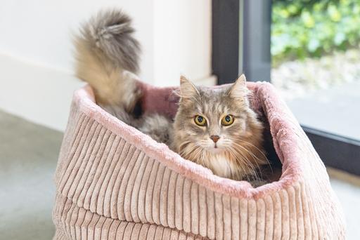 Actual product image Designed by Lotte Katzen Korb Ribbed (Cat)