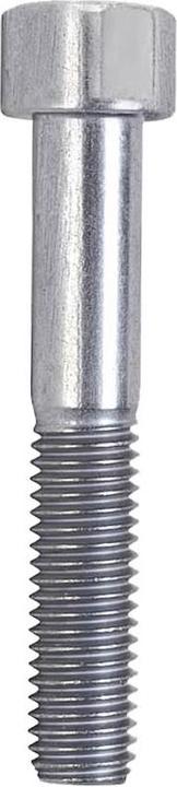 Actual product image Avizar Stem Fixing