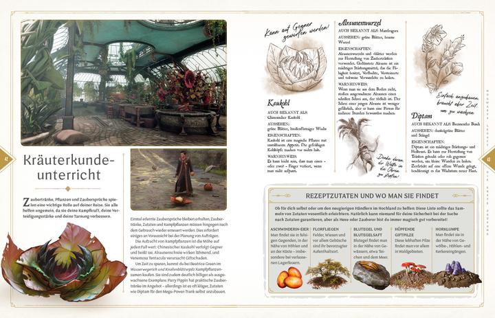 Produktbild Panini Hogwarts Legacy - Der offizielle Guide zum Spiel (Deutsch, Kate Lewis, Paul Davies, 2023)
