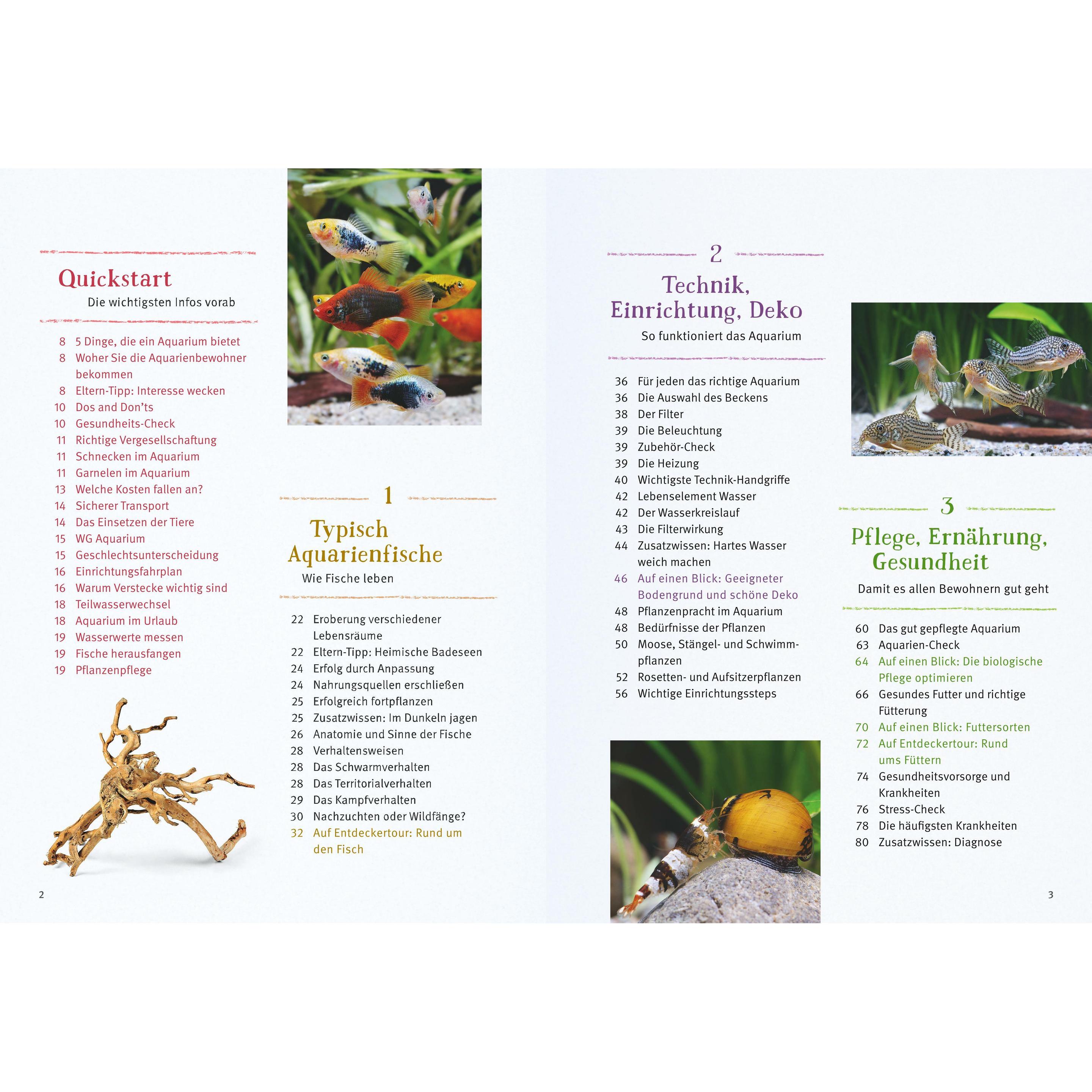 Thumbnail - Mein Aquarium, Ratgeber von Ulrich Schliewen