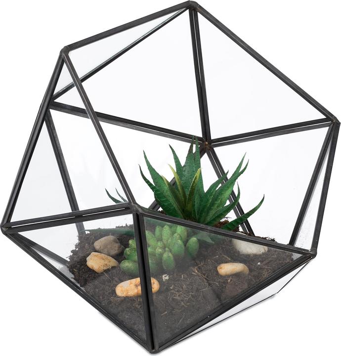 Produktbild Relaxdays Geometrisches Pflanzenterrarium aus Glas