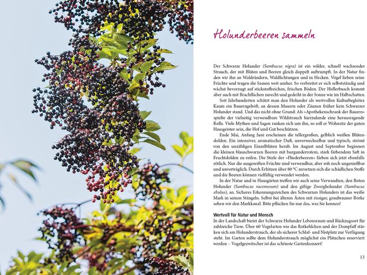 Immagine prodotto Herbstfrüchte (Tedesco, Sigrid Schimetzky, 2018)