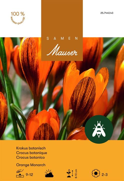 Produktbild Samen Mauser Krokus Orange Monarch (Blumenzwiebeln)