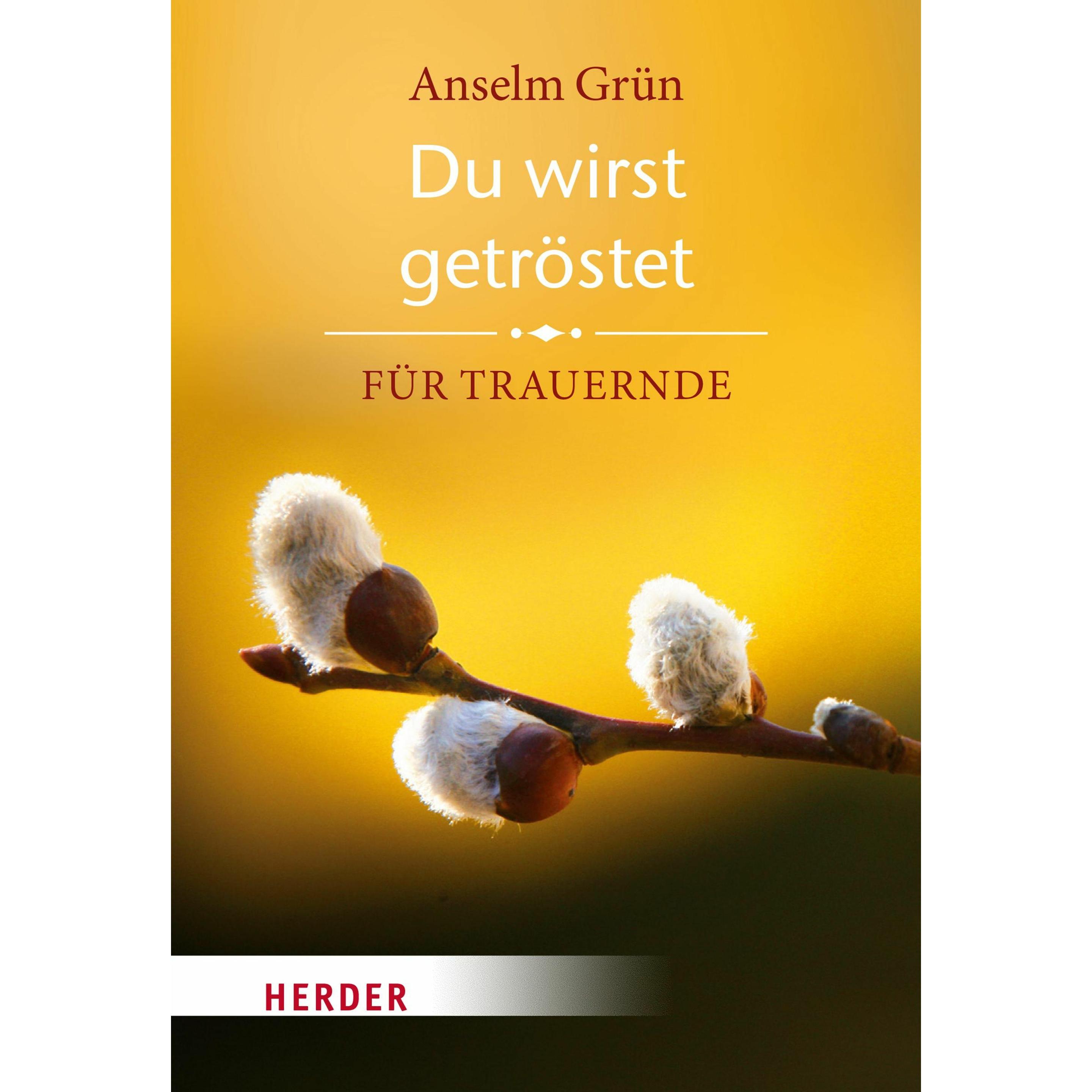 Du wirst getröstet, Belletristik von Anselm Grün