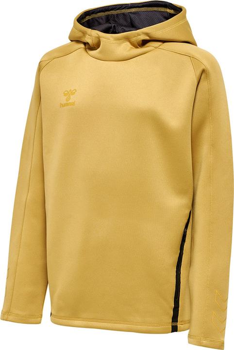 Actual product image hummel Cima Xk Hoodie Kids (164)
