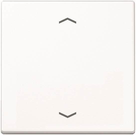 Actual product image JUNG Rocker