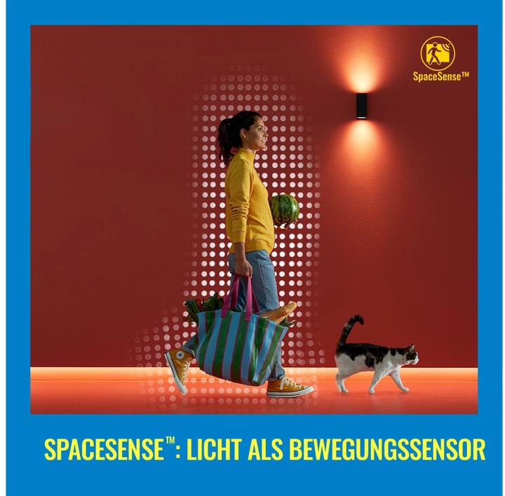 Actual product image WiZ Indoor (1920 x 1080 Pixels)