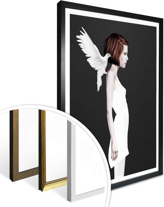 Produktbild Trenddeko Only you - Weisse Taube (30 x 40 cm)