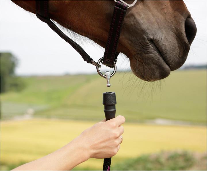 Immagine prodotto Covalliero Fondina GoLeyGo 20