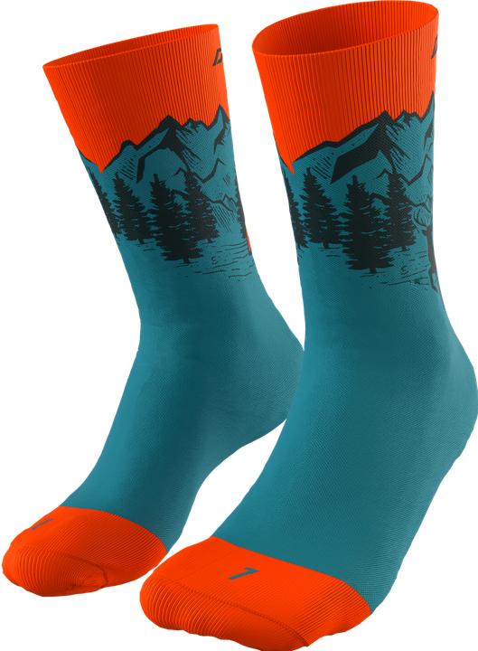 Produktbild Dynafit Stay Fast Socks (35 - 38)