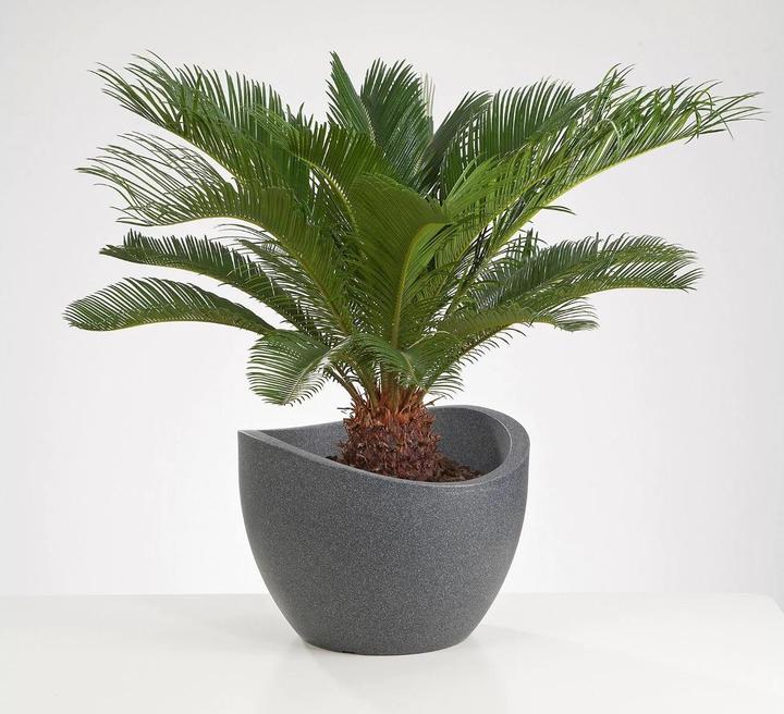 Produktbild Scheurich Wave Globe (39.50 cm)