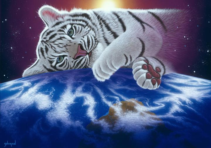 Produktbild ika Puzzle 1500 Ruhe auf den Wolken, Schim Schimmel (1500 Teile)