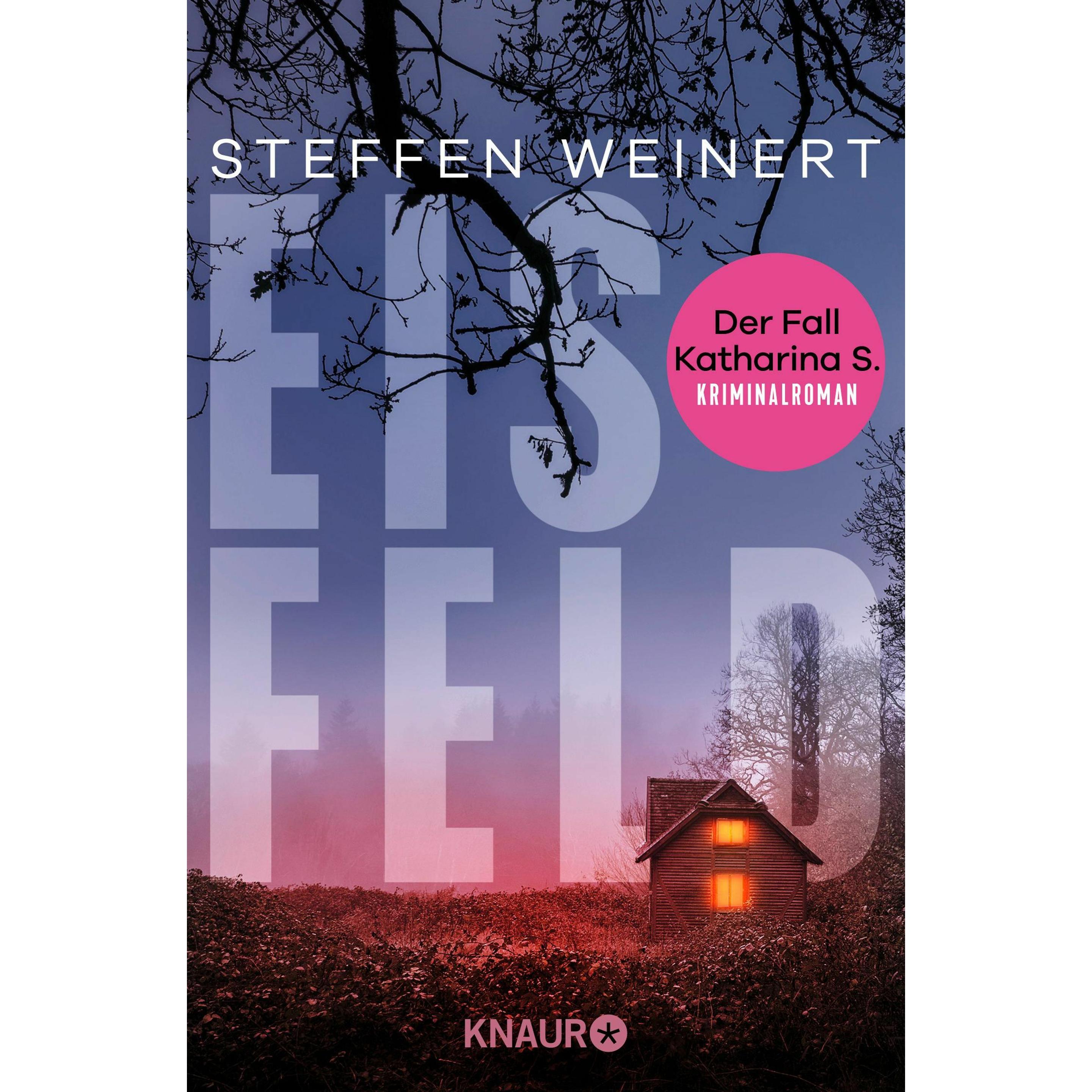 Eisfeld - Der Fall Katharina S, Belletristik von Steffen Weinert