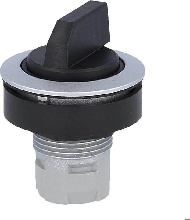 Produktbild Schlegel RRJWA Wahltaste rastend, silberfarben Typ RRJWA