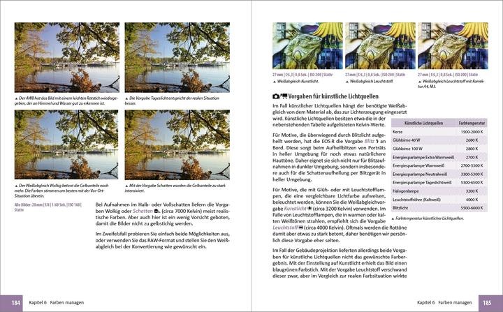 Produktbild Canon EOS R - Für bessere Fotos von Anfang an (Deutsch, Christian Bildner, Dr. Christian Sänger, Dr. Kyra Sänger, 2019)