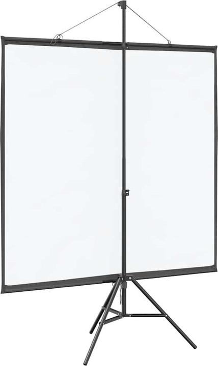 Actual product image vidaXL Projektionsleinwand (67", 1:1)