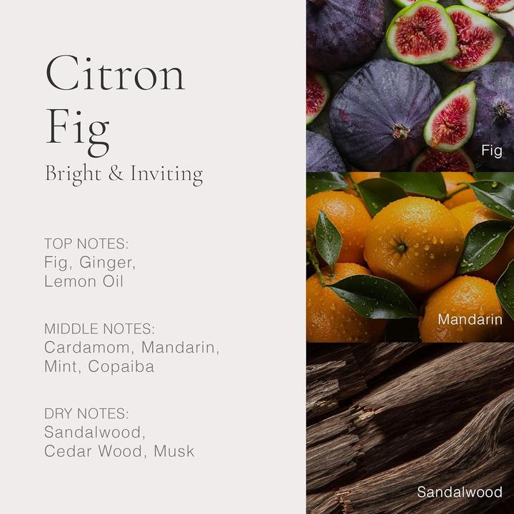 Produktbild Clean Citron Fig (Eau de Parfum, 100 ml)