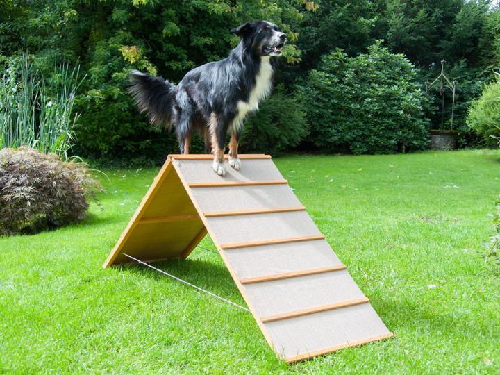 Petcenter A-wall (Dog activity toy)